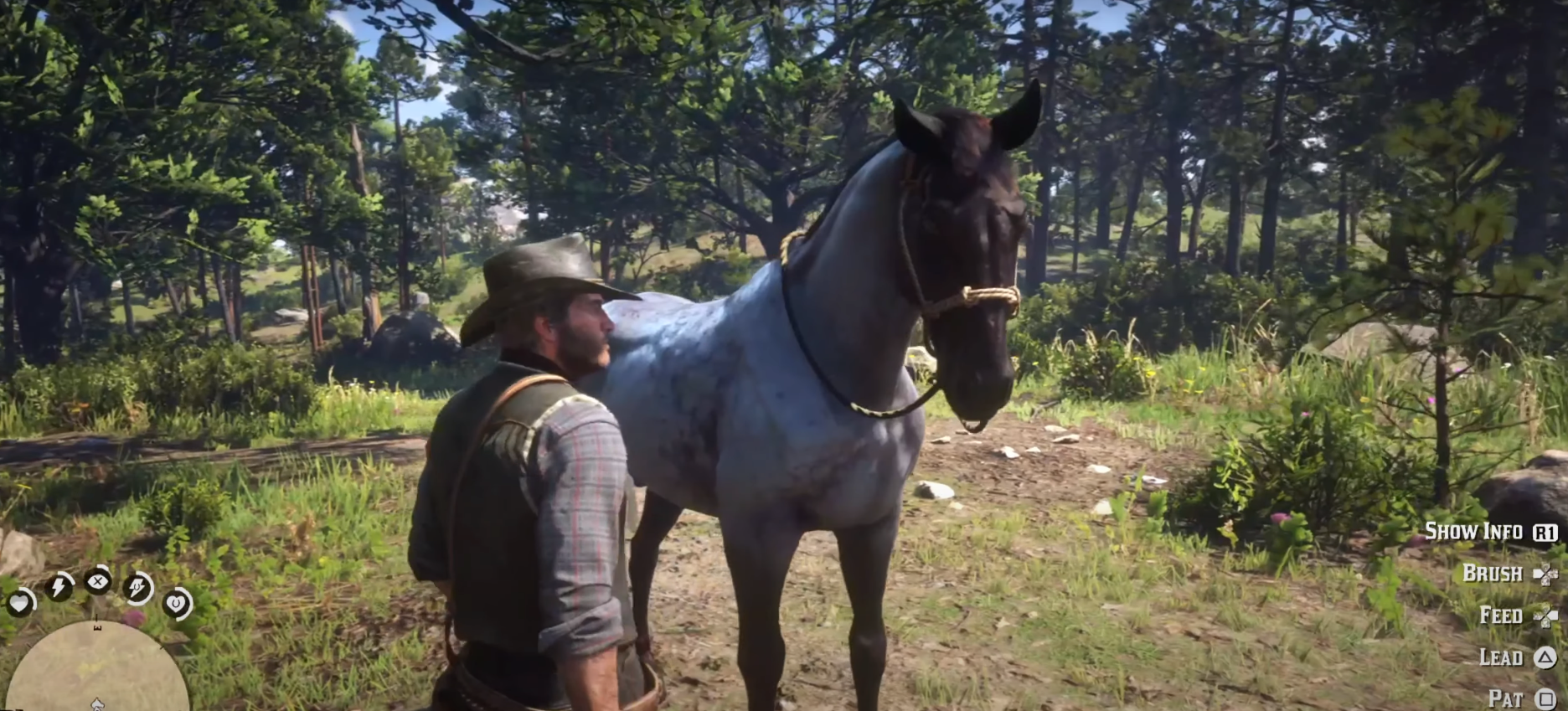 Best Horse in Red Dead Redemption 2