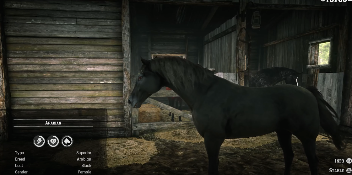 Best Horse in Red Dead Redemption 2