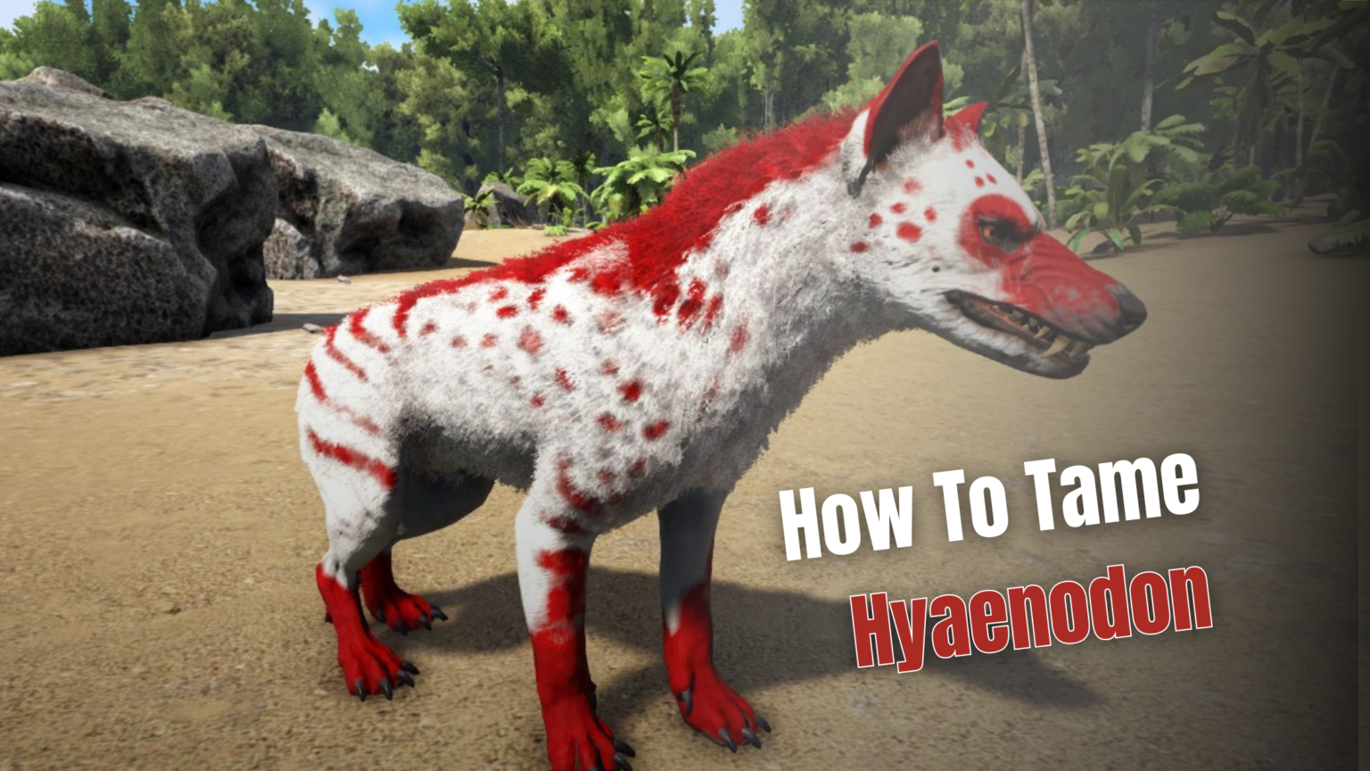 Tame a Hyaenodon