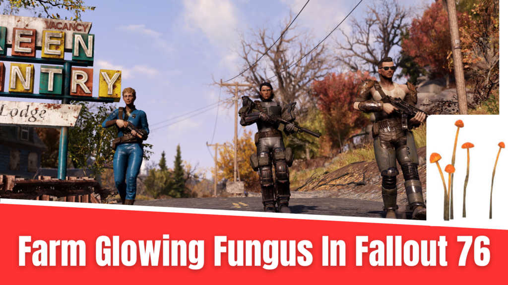 The Best Spots to Farm Glowing Fungus in Fallout 76