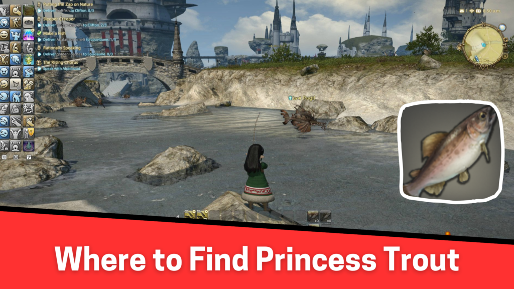 Where to Find Princess Trout