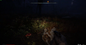 How to Turn On Flashlight in Stalker 2